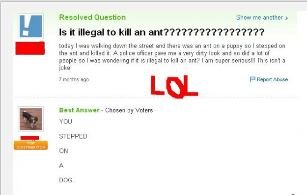 Killing an Ant