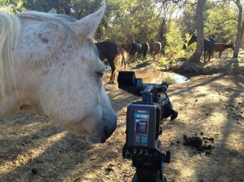 Martin Horsese on the set of his new movie