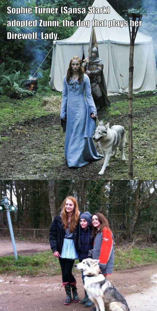 I want a dire wolf - but I'm just happy that Sansa adopted her own