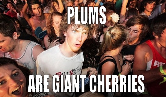 I've been eating plums and cherries lately