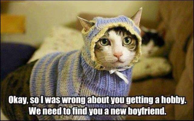 I don't like animal posts but this is hilarious