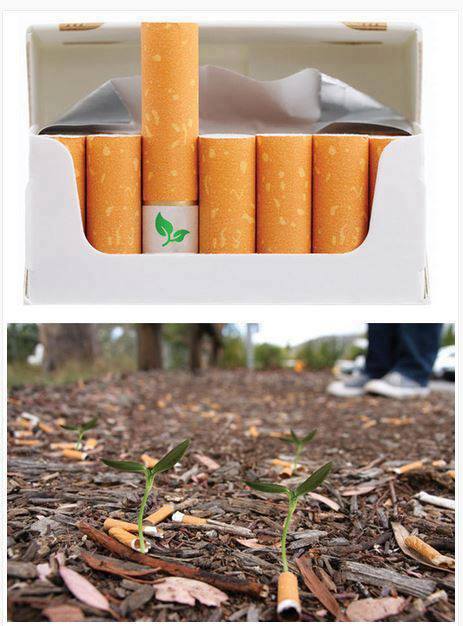 Biodegradable cigarette filters with flower seeds