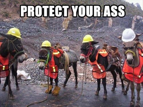 At least they don't have to help Jack off the ass.