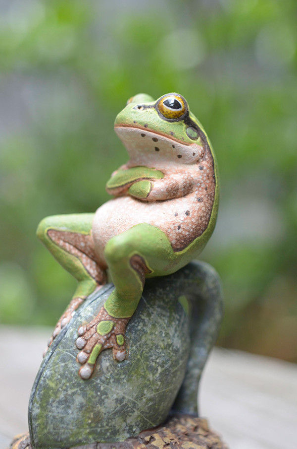 Frog says &quot;No&quot;