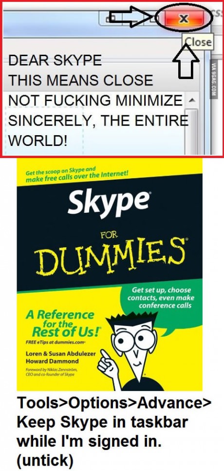 Skype for dummies