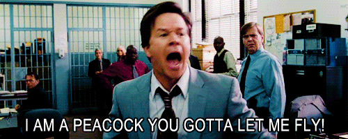 When I can't upload anymore posts for the next hour
