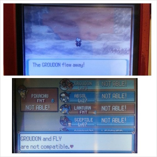 Groudon used hacks!