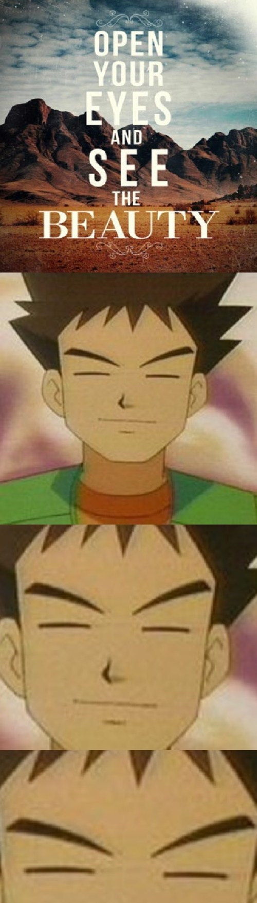 Brock? are you awake? helloooooooo?