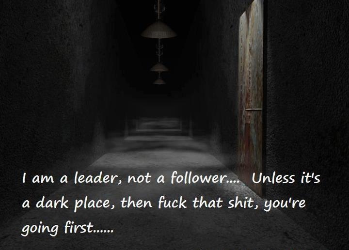 I am a leader, not a follower...