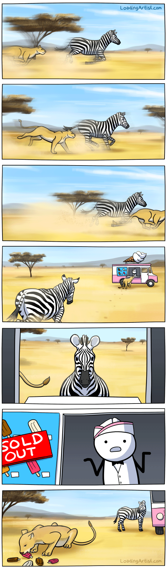 Lion Vs. Zebra