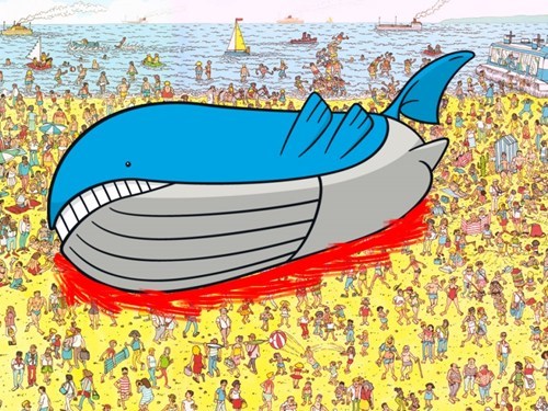 Where's Wailord?