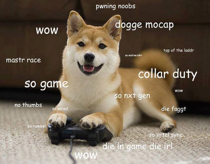 These gamer dogs...