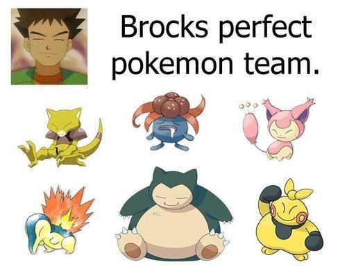 Brock want his pokemon to see what he can see.
