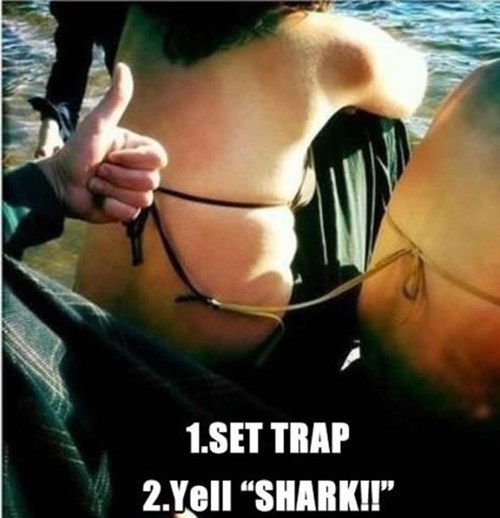 lets try