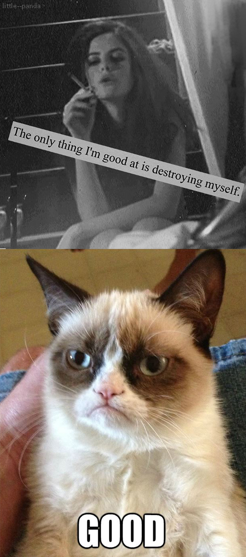 Grumpy cat approves