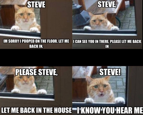 And that's when Steve bought a dog
