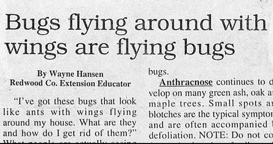 You don't say...