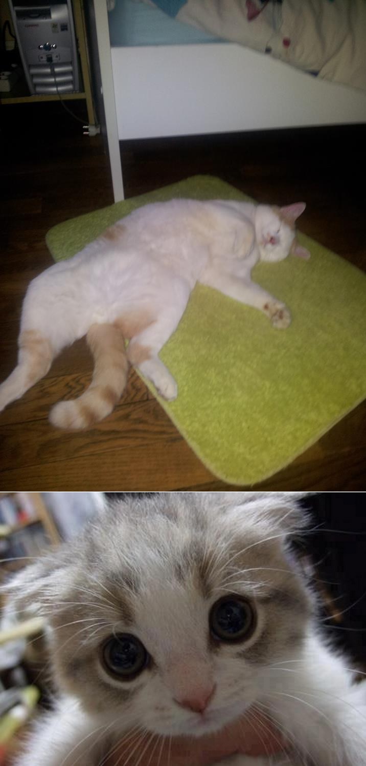 Me Vs my GF after sex