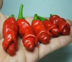 Graphic Peppers...Should this be censored?