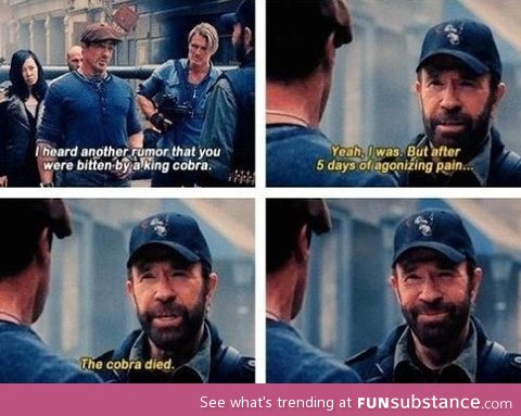 Chuck Norris joke