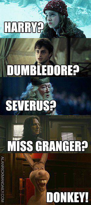 Siriusly?!