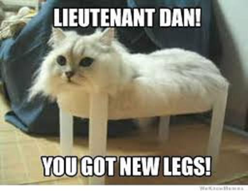 lit dan has 4 legs than 2 legs before