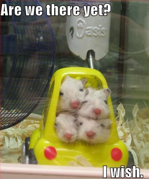 Are We There Yet?