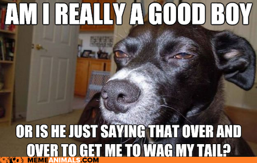 You probably are a good boy