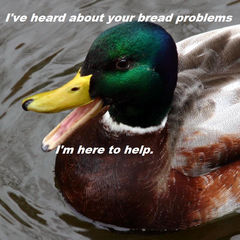 Hey guys...