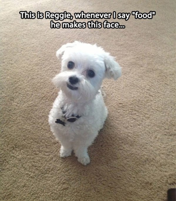 I make the same face when i hear the word food :D