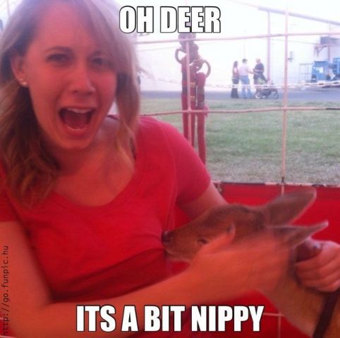 I wish i was this deer!!!