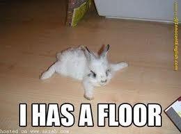 I Has A Floor!