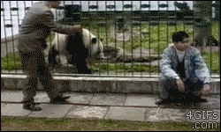 Tekken: Panda vs. Lee