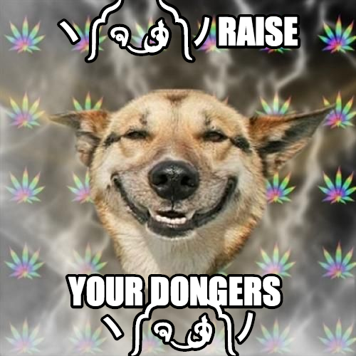 Dongsquad 420