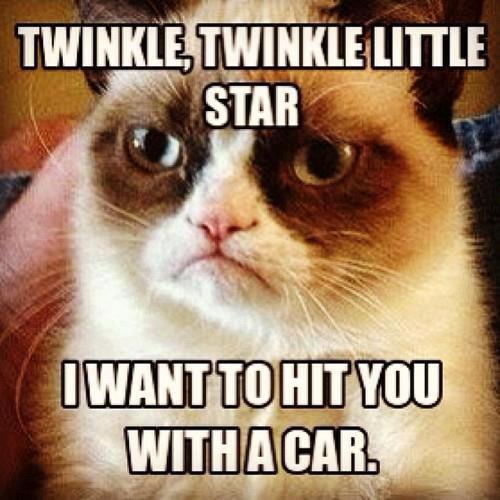 twinkle twinkle mother ***er