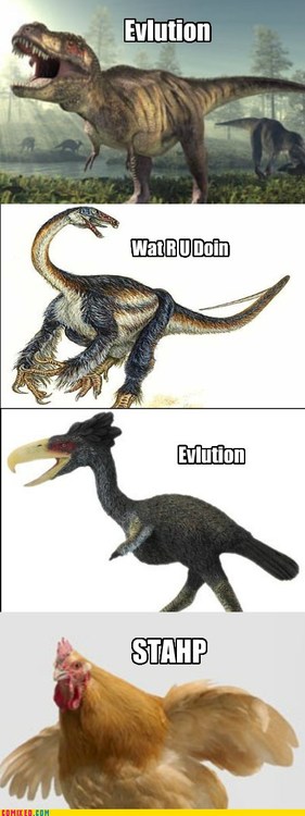 Evolution, Stahp