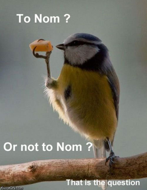 Must be a nomming bird.