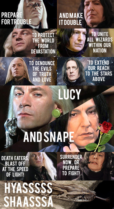 Team Death Eater? Team Slytherin?
