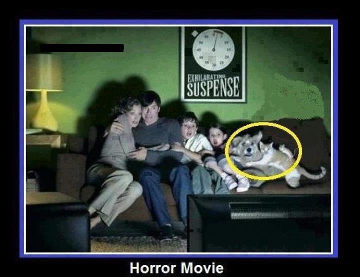You know its a great horror movie when....
