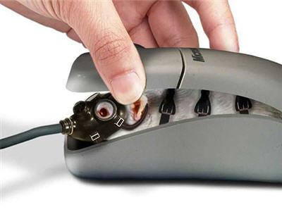 Inside a mouse