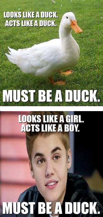 Must be a duck.