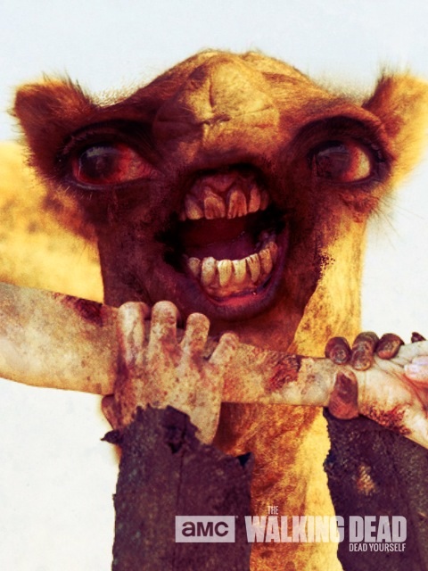 I used the walking dead app on a camel... I don't know what to think.