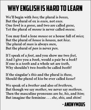 The (American) English Language