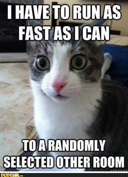 Cat logic