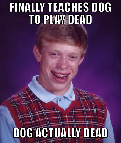 Bad Luck Brian's Dog