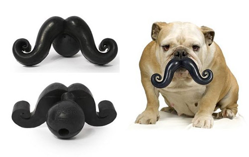 Because your dog needs to look more distinguished