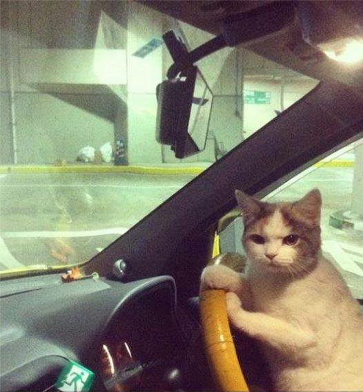 We don't need to ask for directions, Helen.