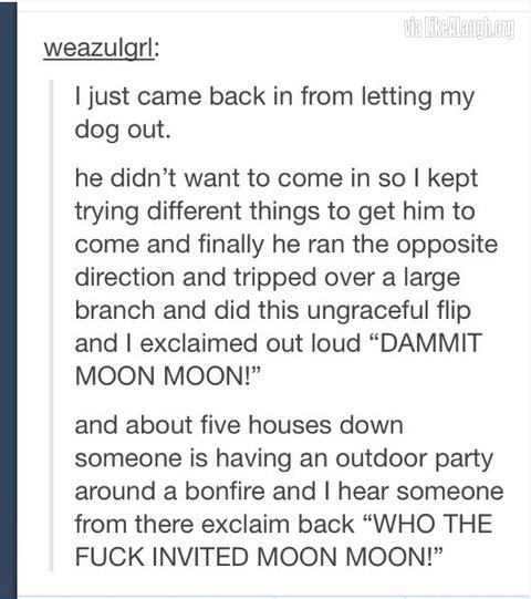 Dammit, Moon Moon!