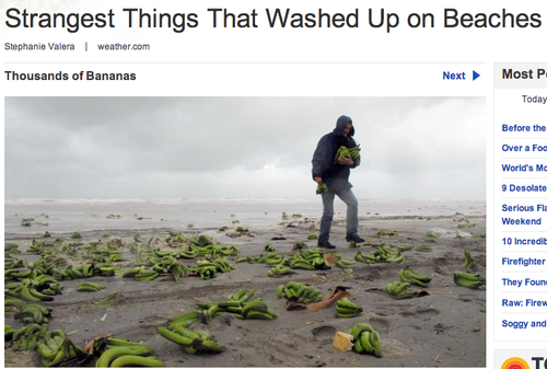 Congratz to the guy getting free banana's while he can