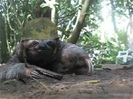 G.I. Sloth